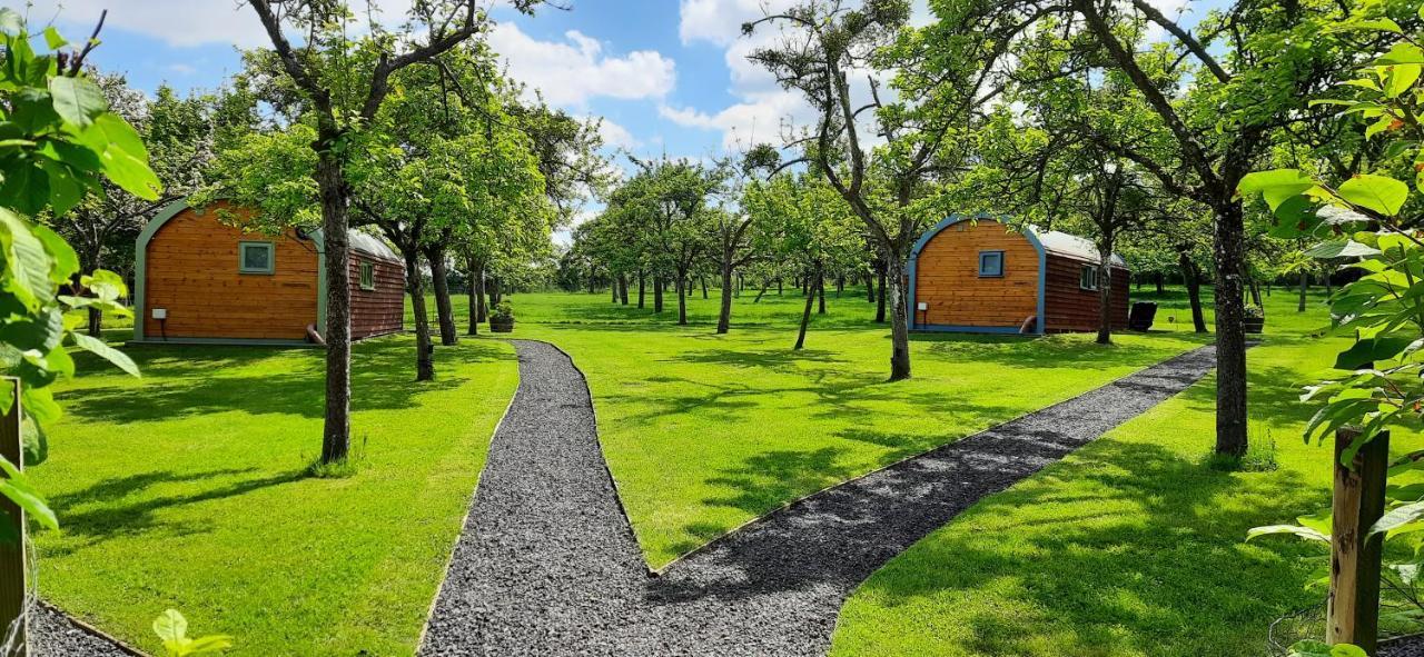 Orchard Farm Luxury Glamping And Campsite Glastonbury Zewnętrze zdjęcie