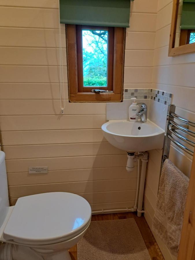 Orchard Farm Luxury Glamping And Campsite Glastonbury Zewnętrze zdjęcie
