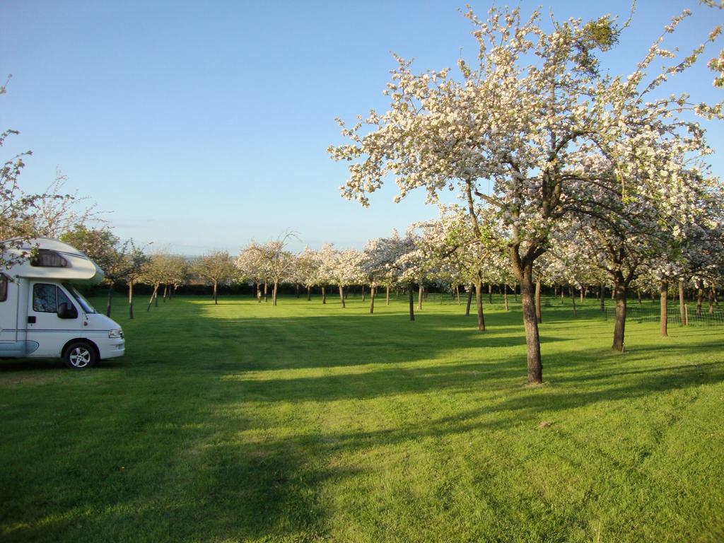 Orchard Farm Luxury Glamping And Campsite Glastonbury Zewnętrze zdjęcie