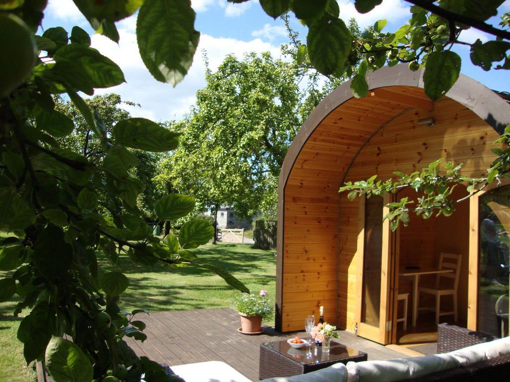 Orchard Farm Luxury Glamping And Campsite Glastonbury Zewnętrze zdjęcie